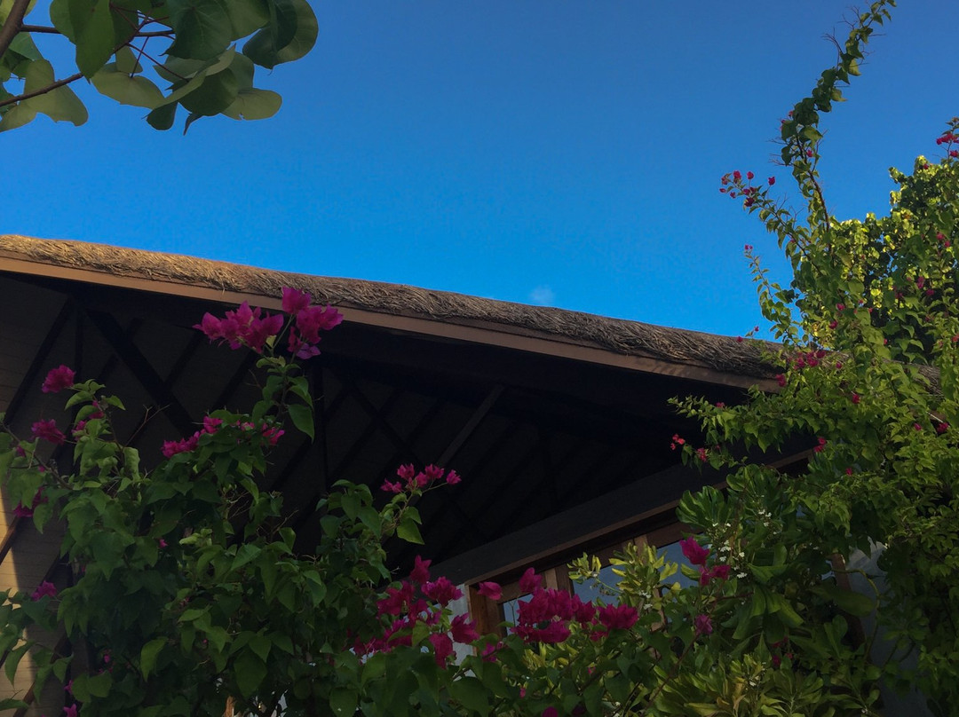 Gulhi Island餐馆和美食-Premier Beach Restaurant