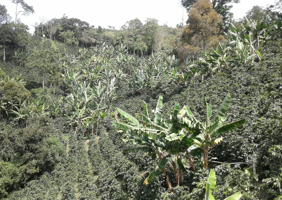 Finca Turistica Las Acacias