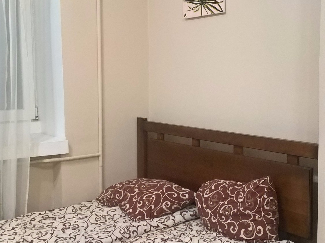 Hostel Druzi