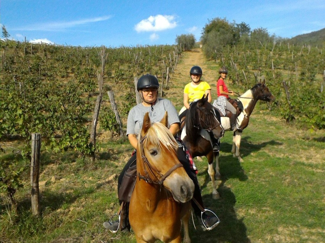 Maneggio Madre Terra-佛罗伦萨必去景点