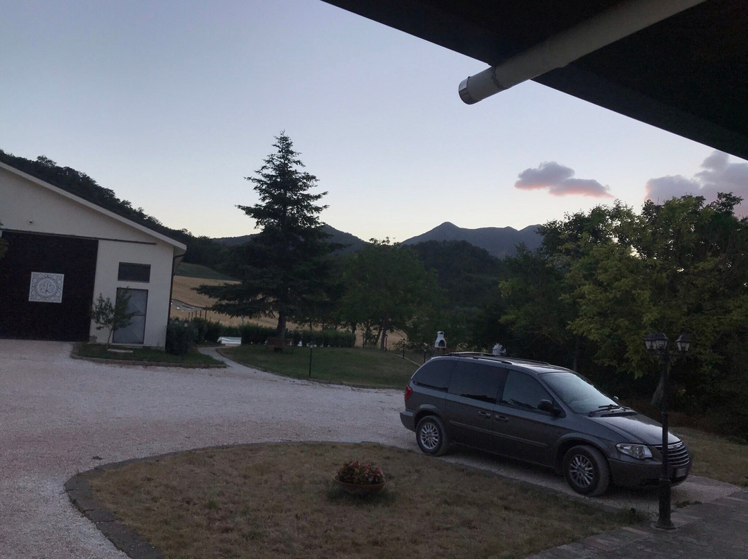 Agriturismo Podere Coldifico