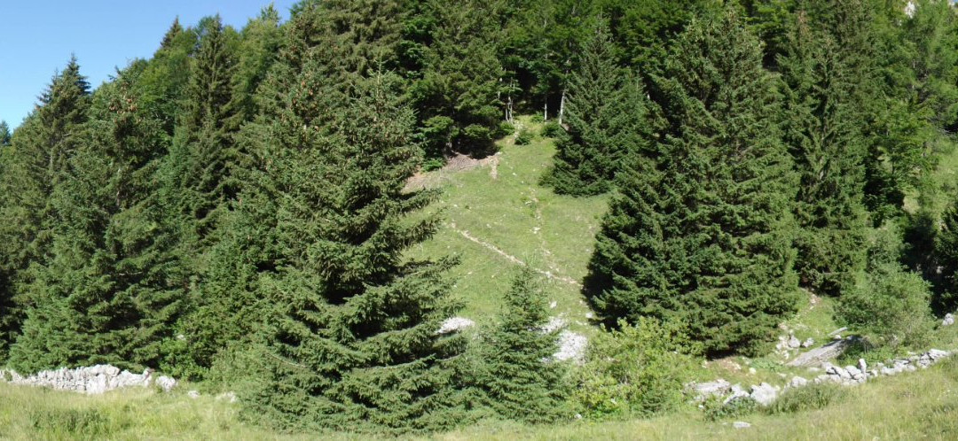 Erbezzo旅游攻略图片