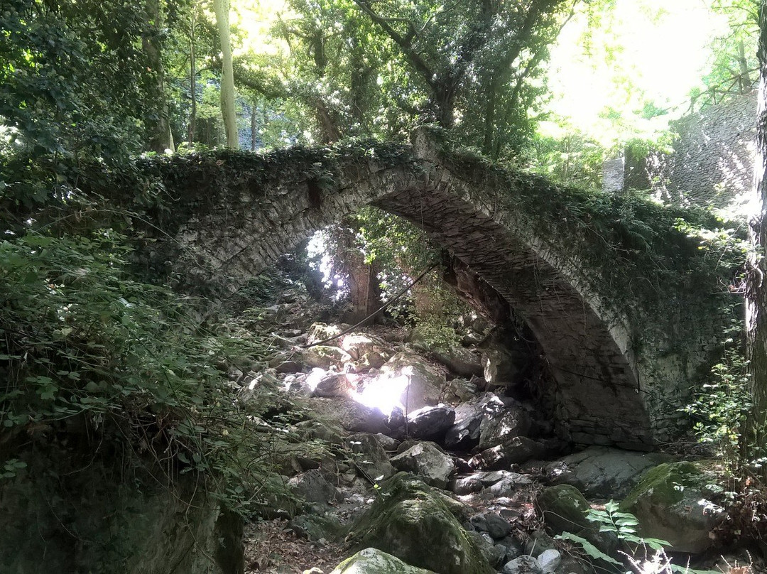 Old Arched Bridge景点图片