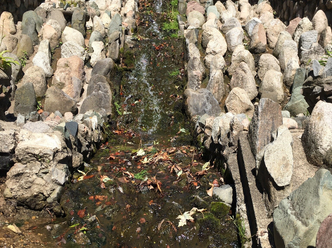 Battell Park-米沙沃卡必去景点