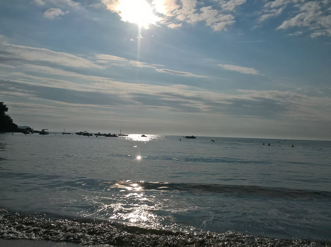 Plage de Fabregas-滨海拉塞纳必去景点
