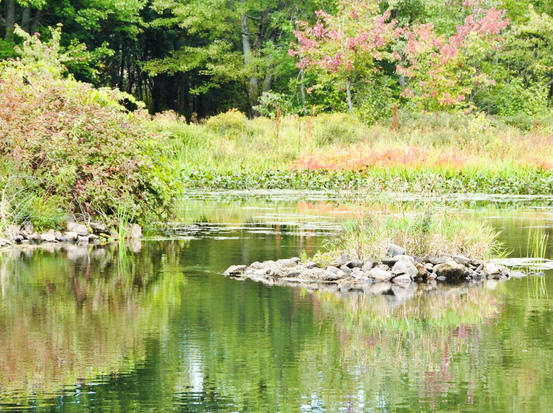 Perth Golf Course-Perth必去景点