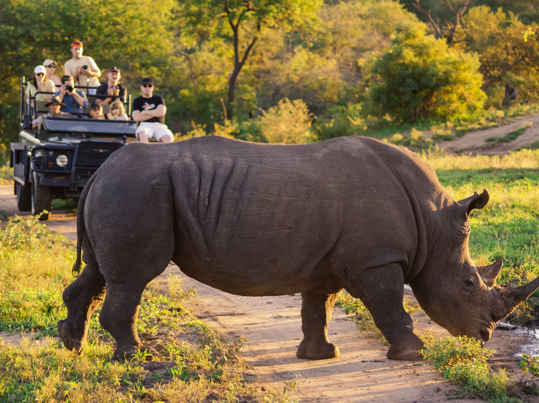 Amatungulu Tours