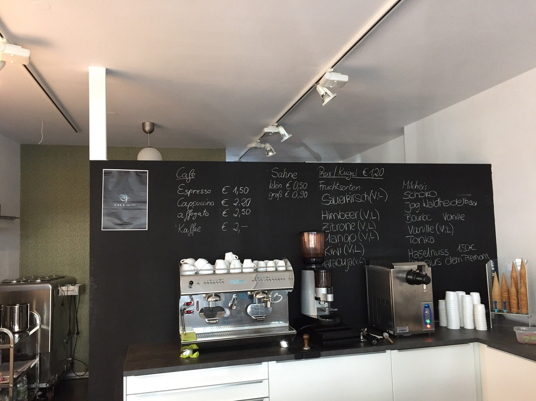 Eisbar Hier & Jetzt