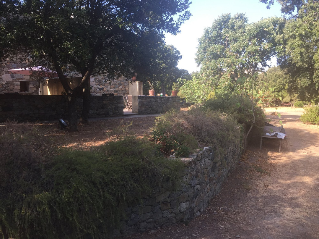 Casa-Albina-Corsica