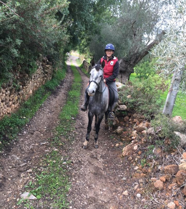 Tavira Horse Riding Quinta Beldade Stables-塔维拉必去景点