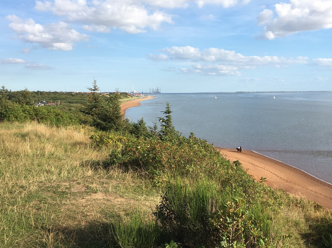 Hjerting Strand-艾斯堡必去景点