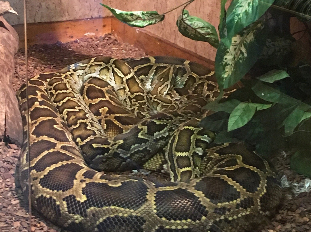 Reptilienhaus Oberammergau-奥伯阿默高必去景点