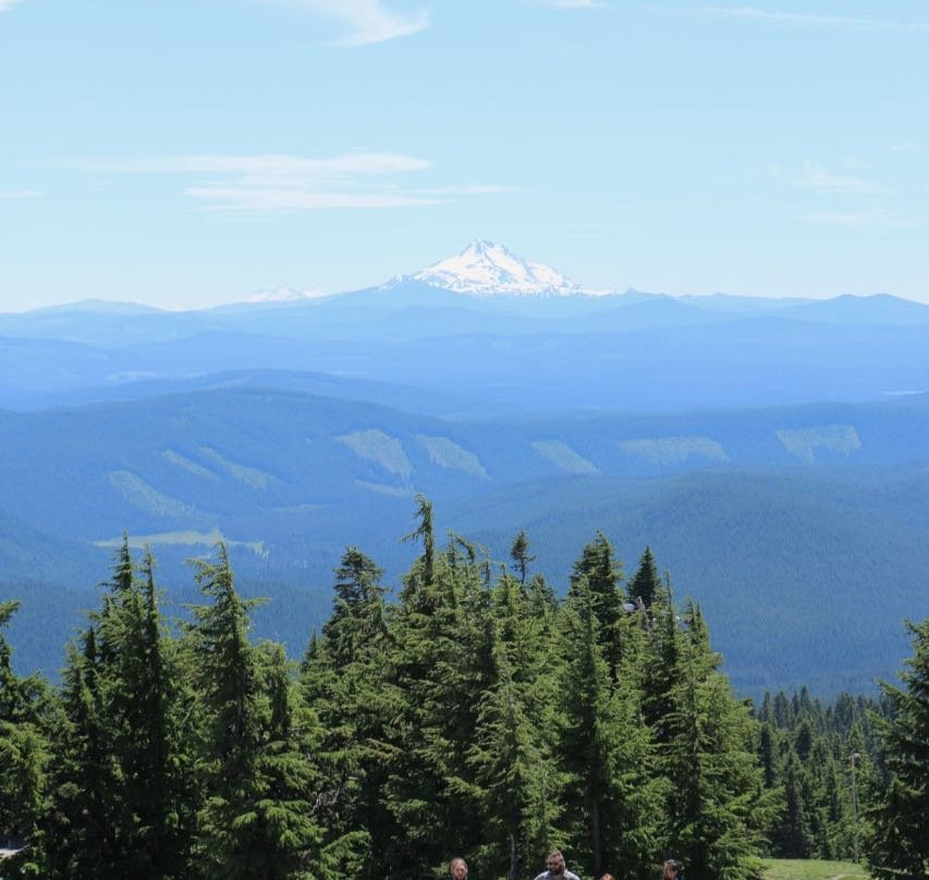 Government Camp餐馆和美食-Timberline Restaurants