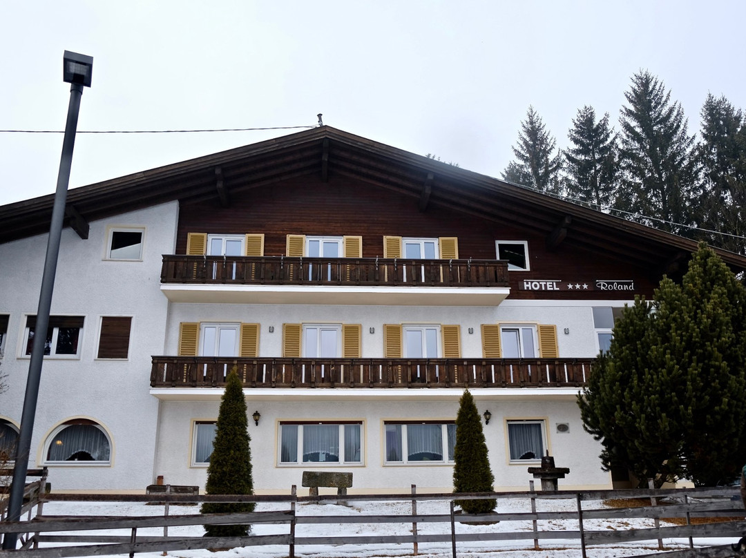 Rasun di Sotto酒店住宿-Hotel Roland