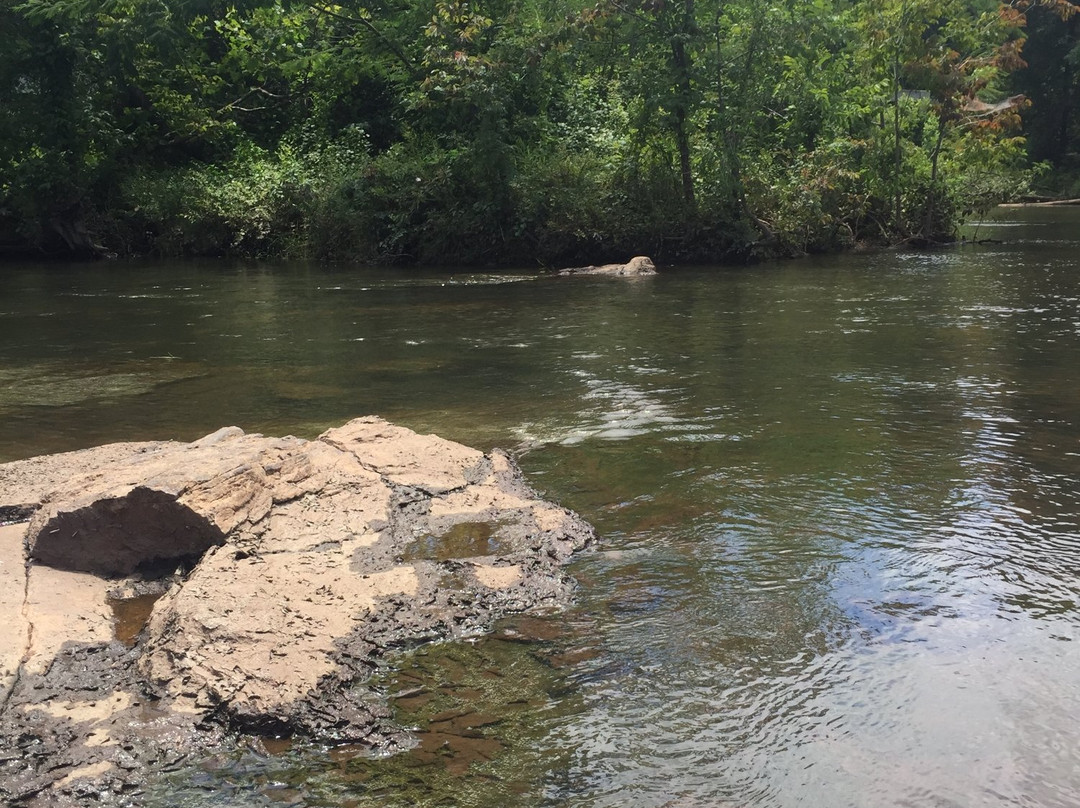 Ocmulgee Adventures-Monticello必去景点