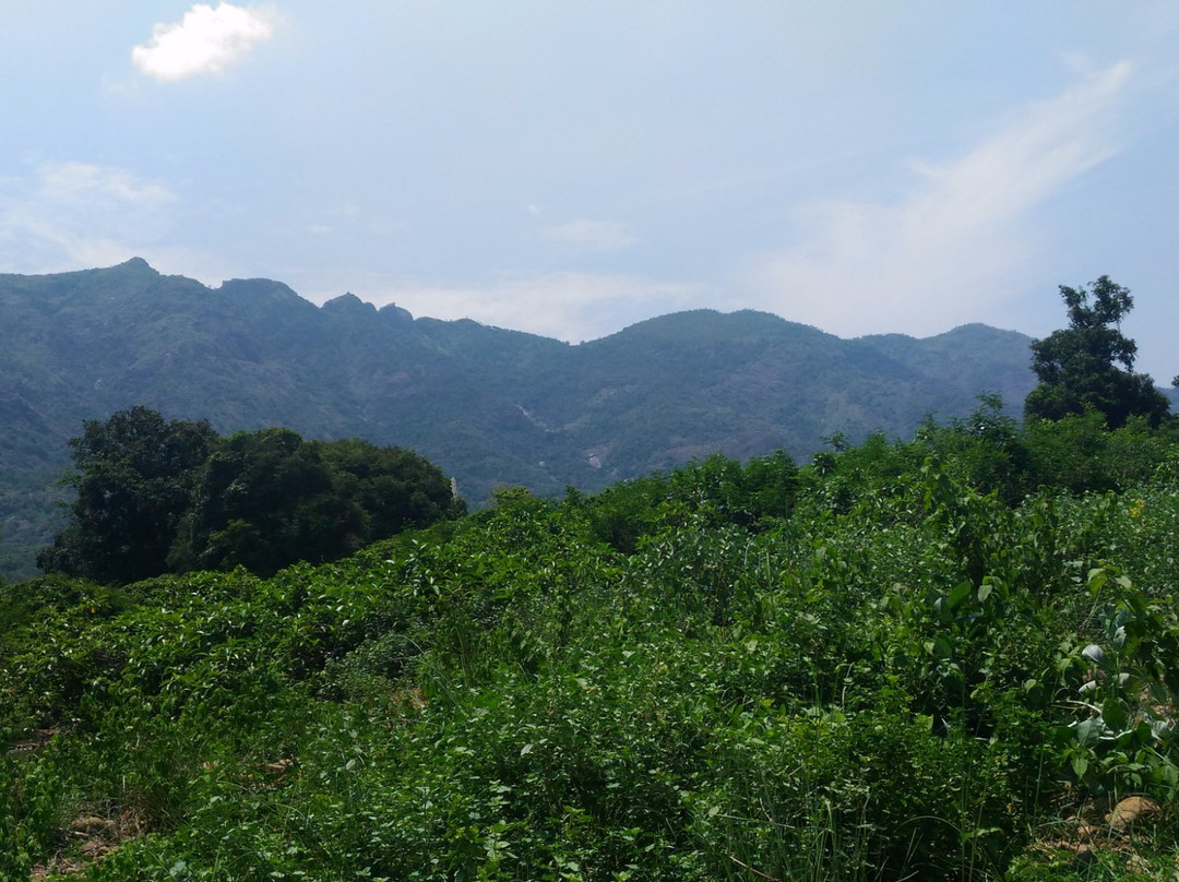 Shenbaga Thopu景点图片