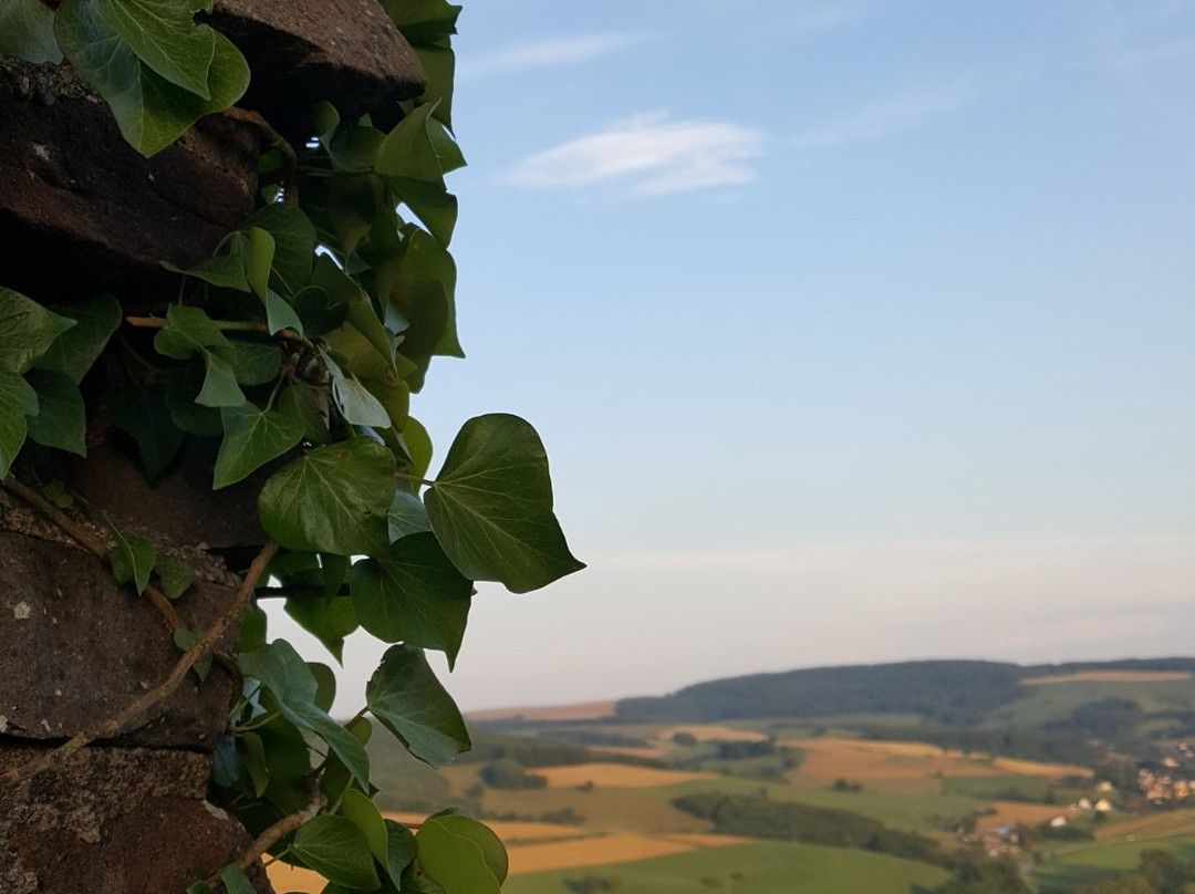 Michelsburg景点图片