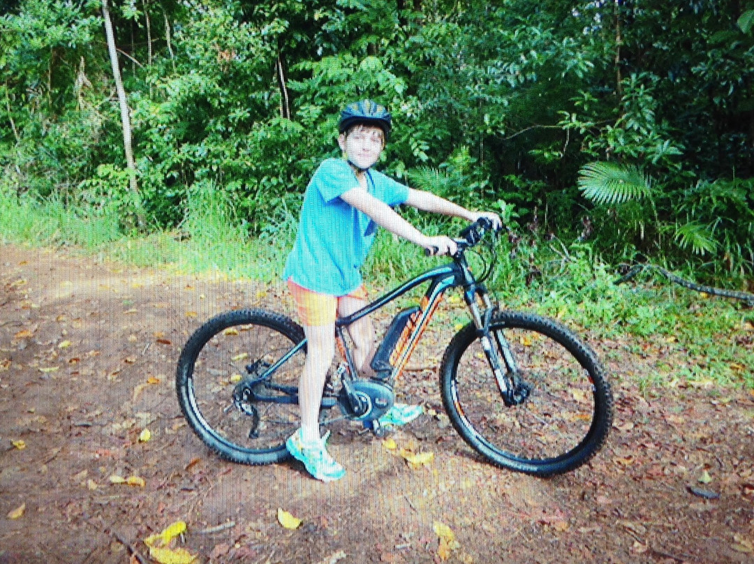 Freeride Electric Adventure Tours-Cape Tribulation必去景点