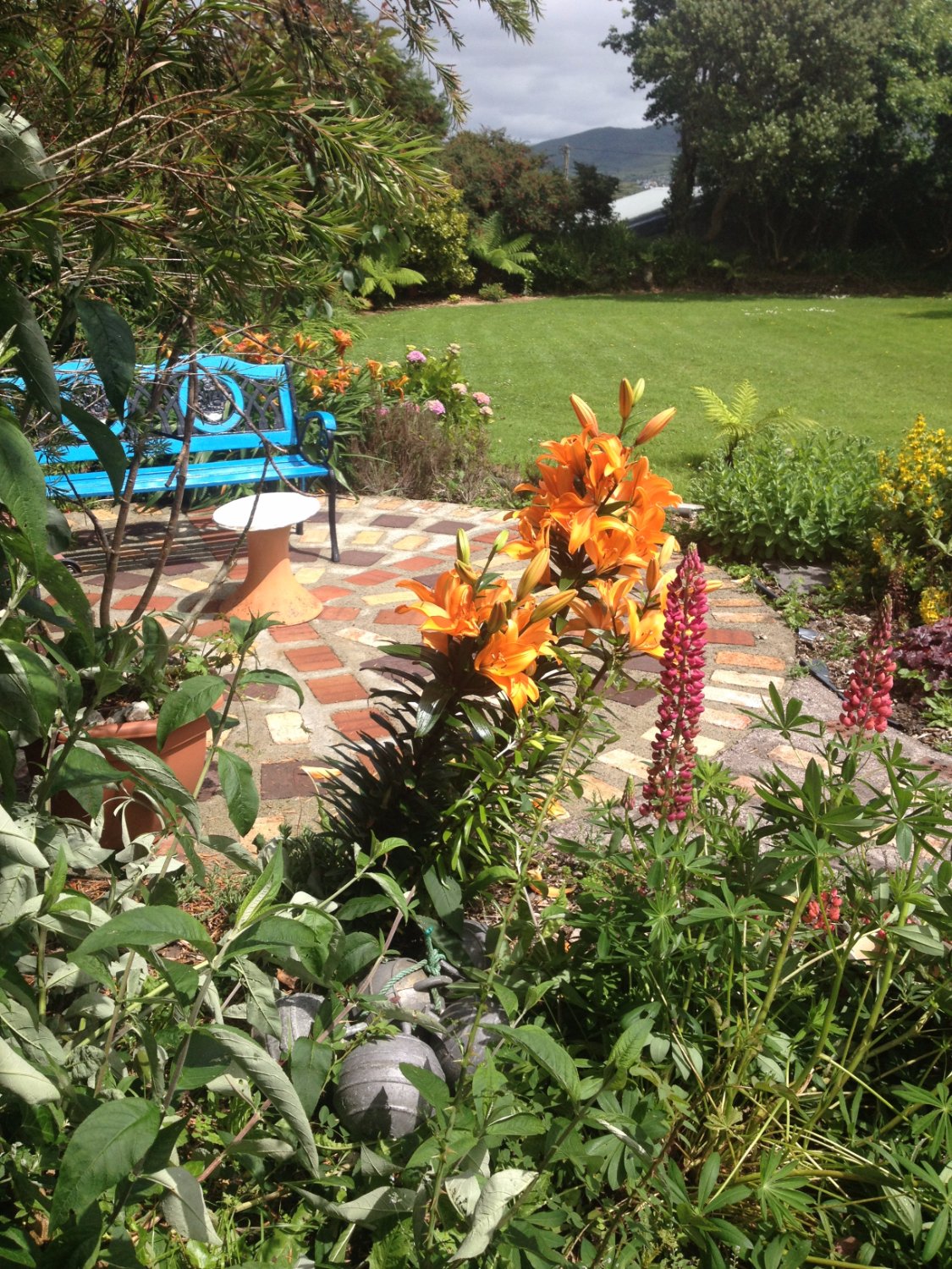 Altazamuth House-官方