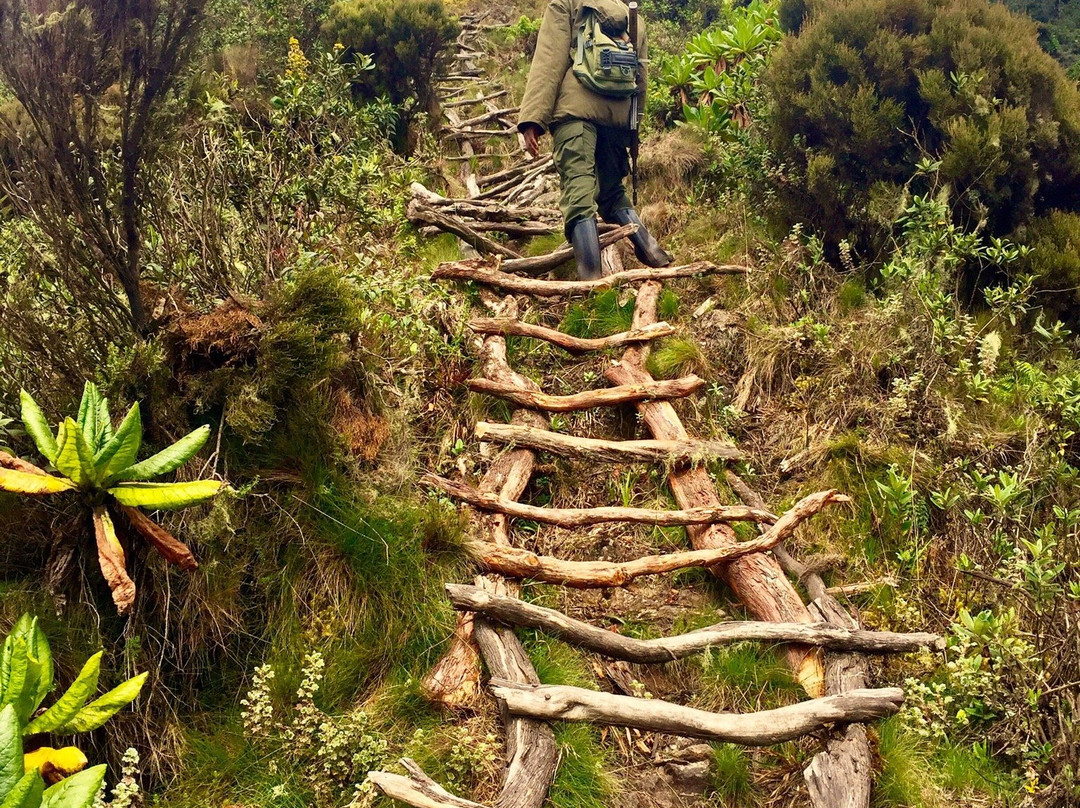 Virunga Volcanoes-Kisoro必去景点
