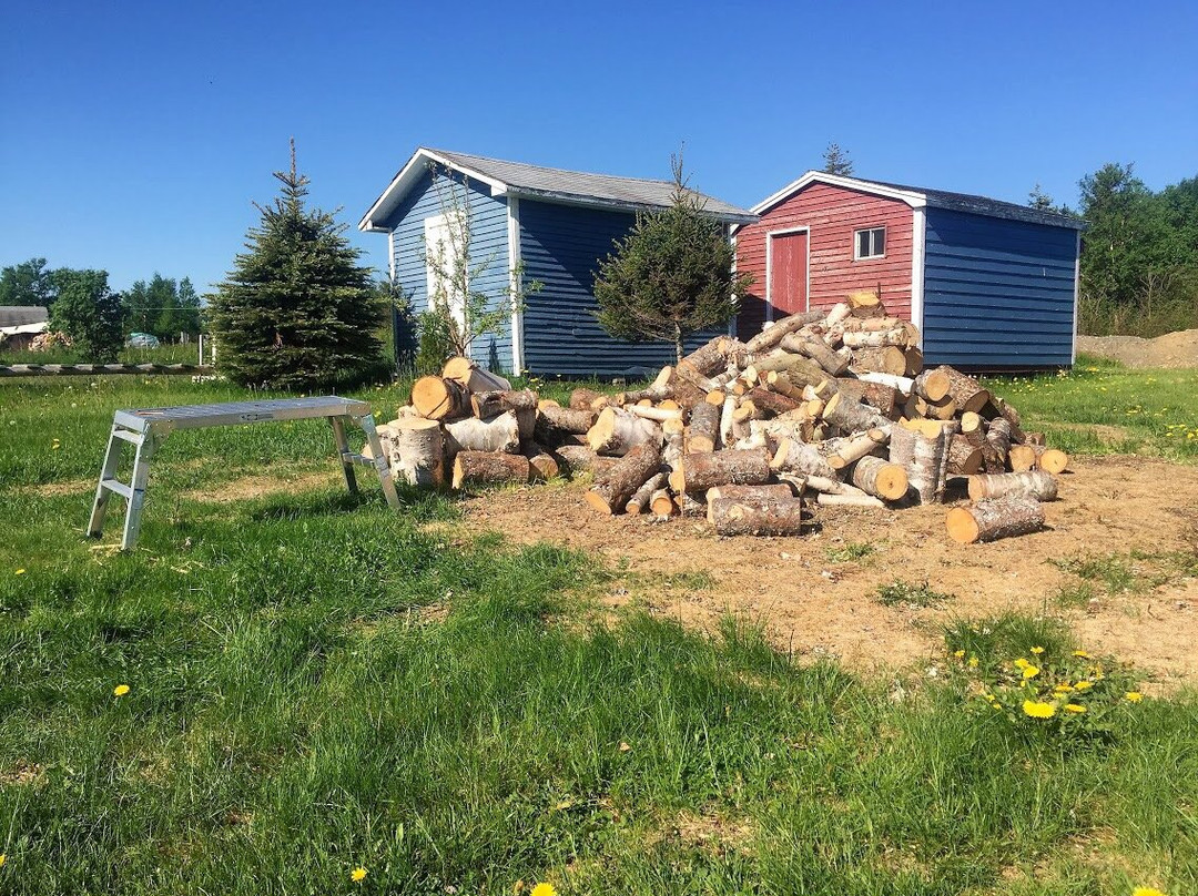 2023年10月Fogo旅游景点攻略Fogo旅游住宿,Fogo旅游美食猫途鹰