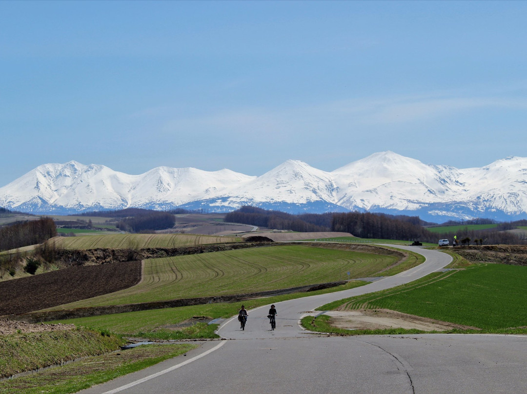 Bieiguide Cycling Tour Snowshoe Tour-美瑛町必去景点