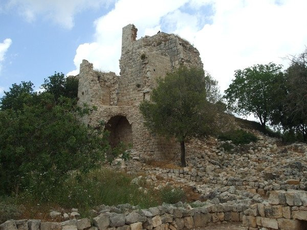 Nahariya Botanic Garden and Zoo景点图片