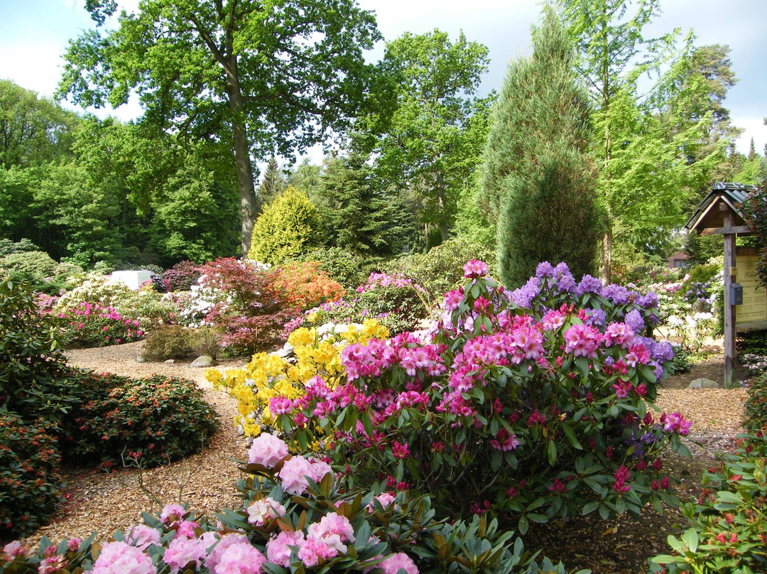 Bockhorn旅游景点-Rhododendronpark Hobbie