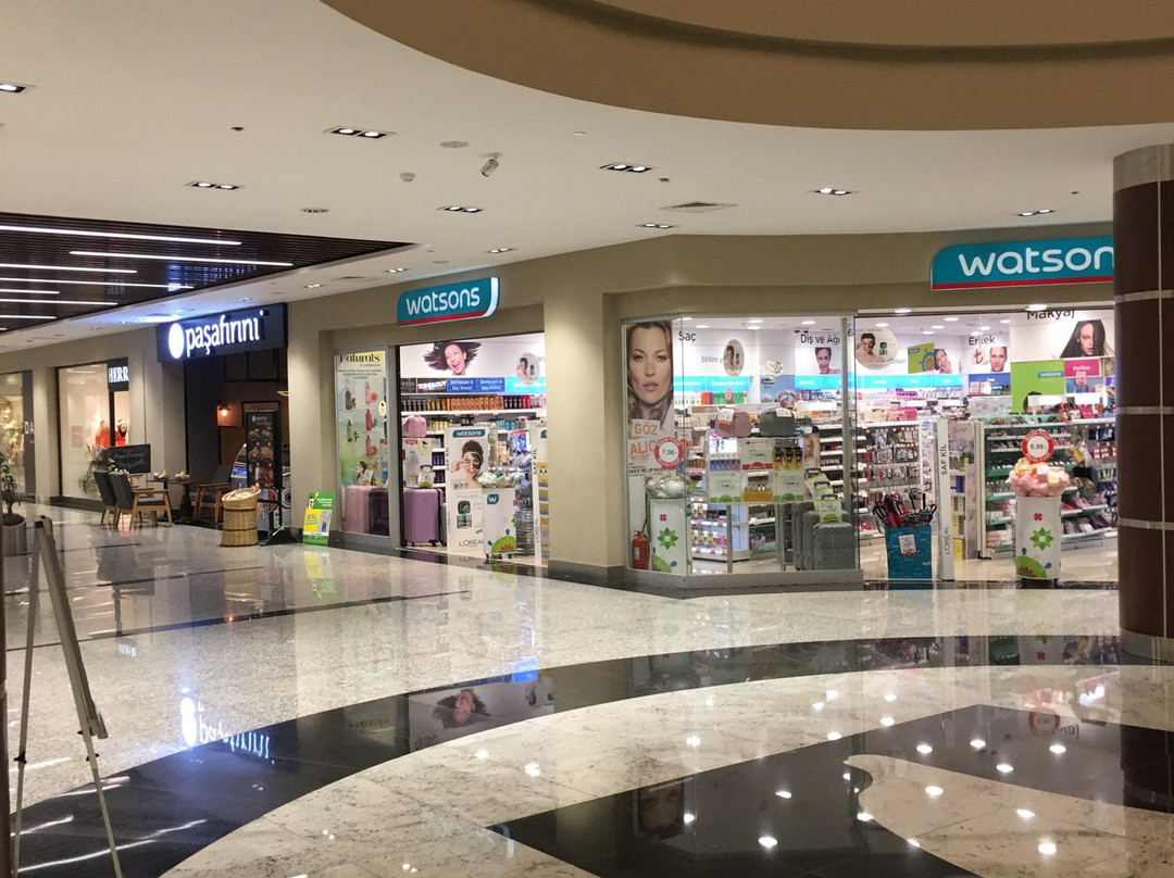 Dolphin Center景点图片