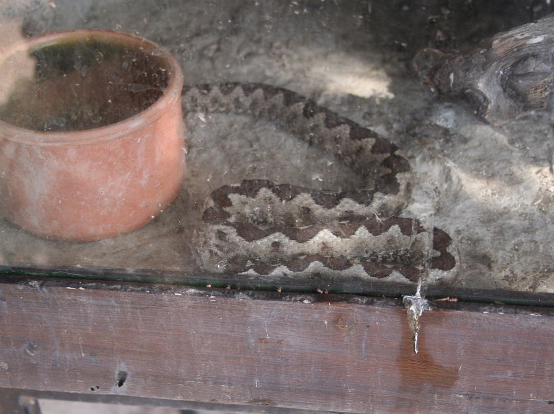 Kouklia Reptile Park-库克利亚必去景点