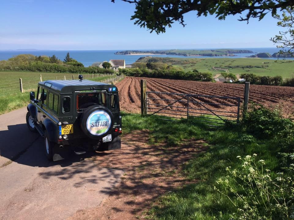 Pembrokeshire Safari Tours景点图片