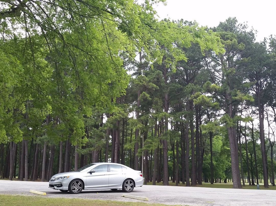 McFarland Park景点图片