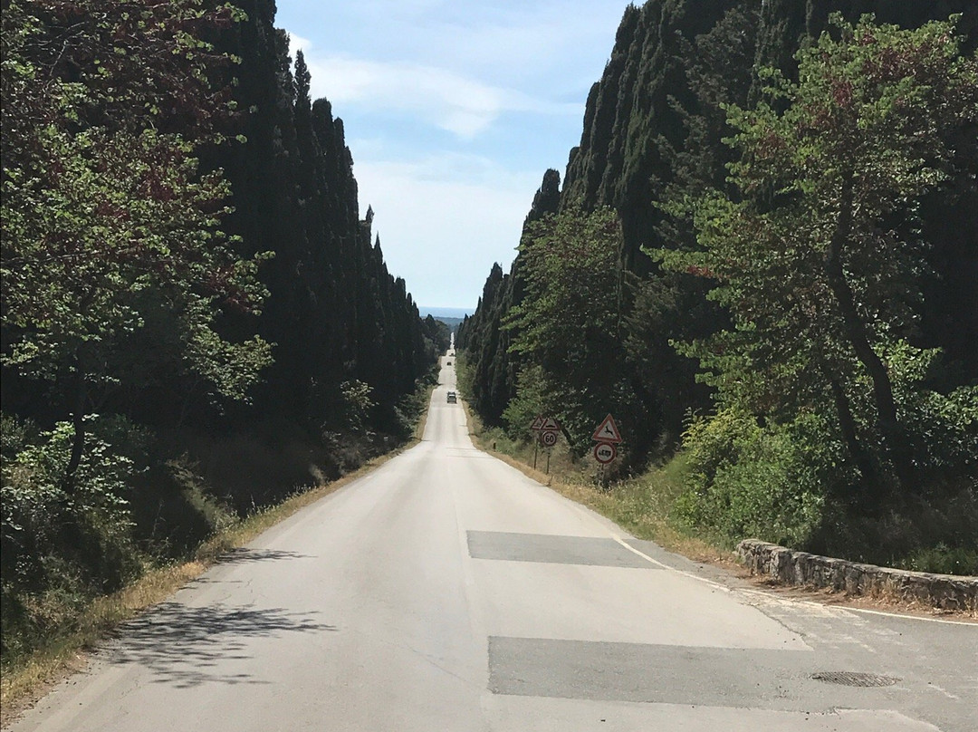 Bolgheri旅游攻略图片