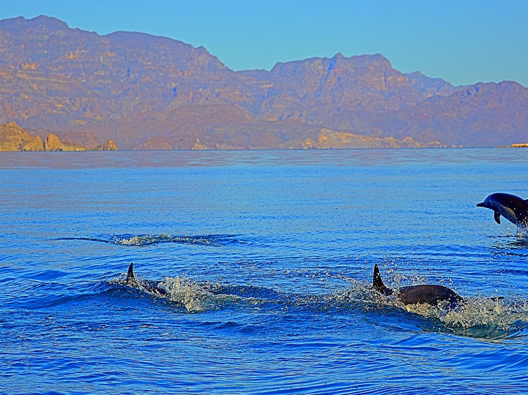Isla Carmen-下加利福尼亚州必去景点