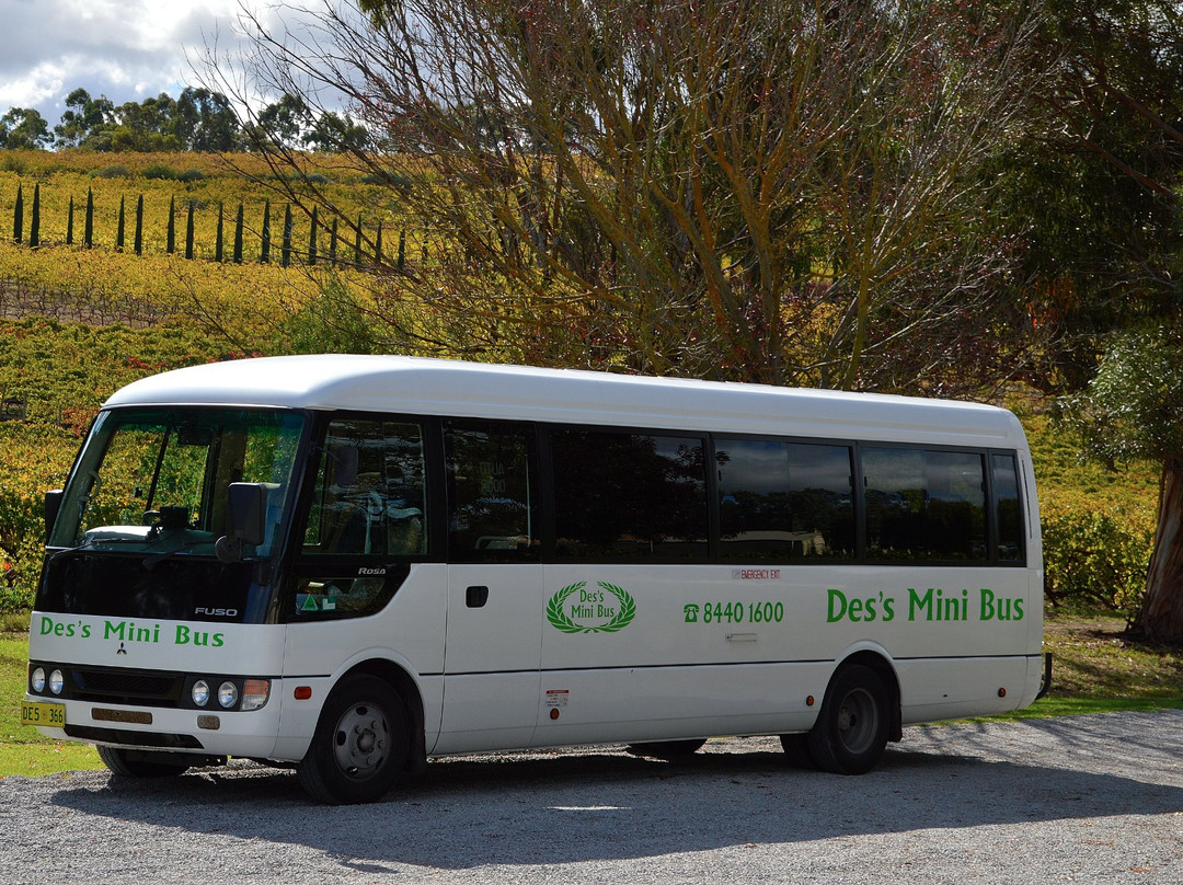 Des's Minibus景点图片