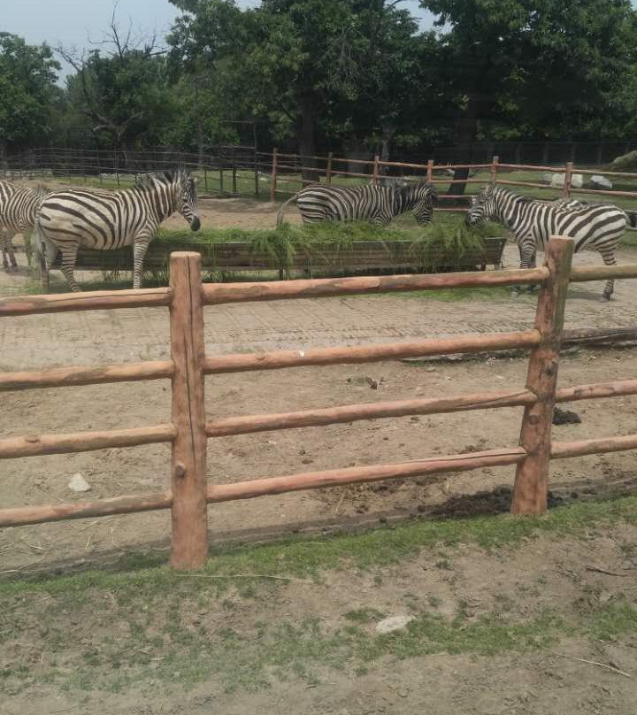 秦岭野生动物园-西安市必去景点