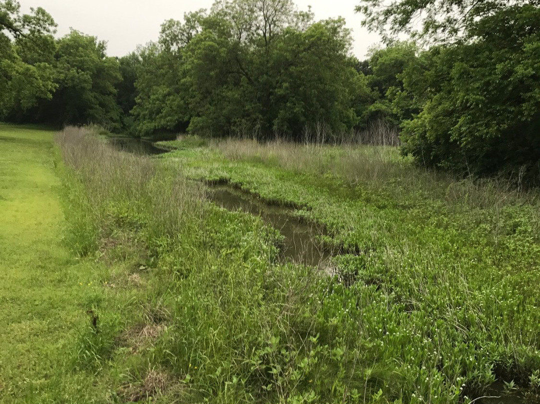Bob Woodruff Park-普莱诺必去景点
