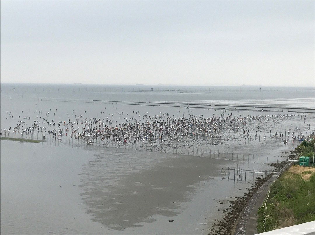 Kisarazu Coast Shiohigari景点图片