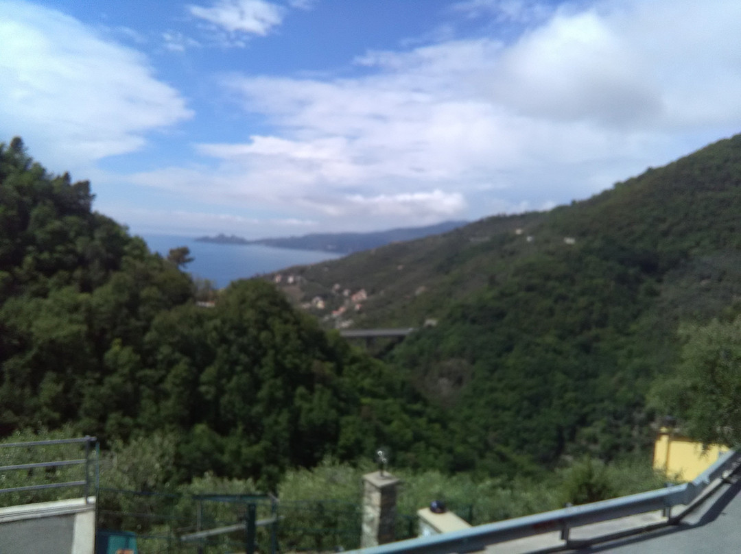 Agriturismo Cerisola 2003主图