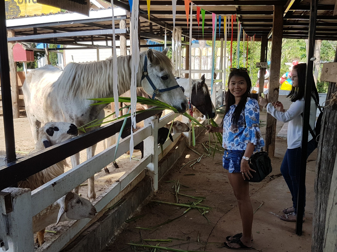 Khao Yai Floating Market景点图片