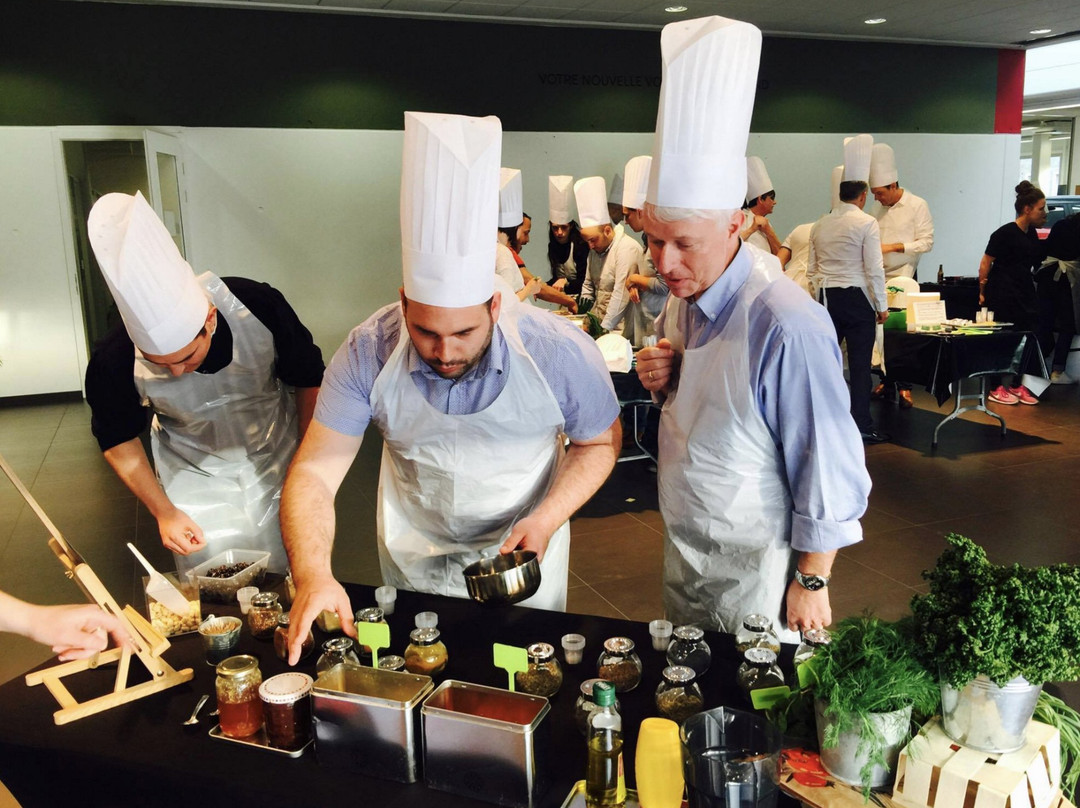 Insolit'prod-斯特拉斯堡必去景点