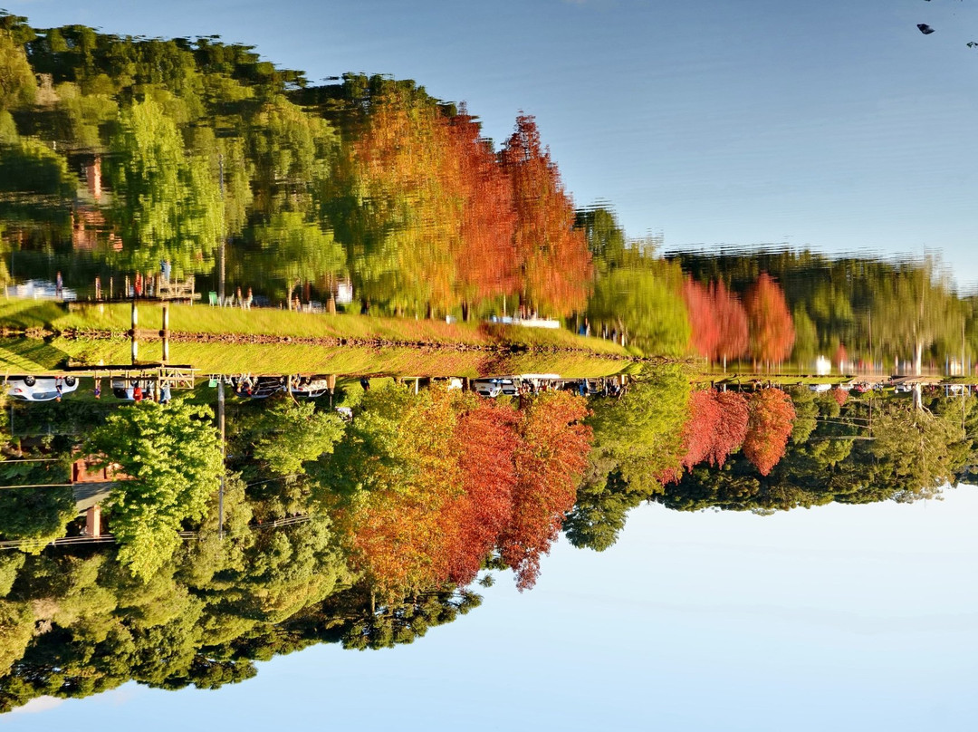 Sao Francisco de Paula旅游景点-Lago Sao Bernardo
