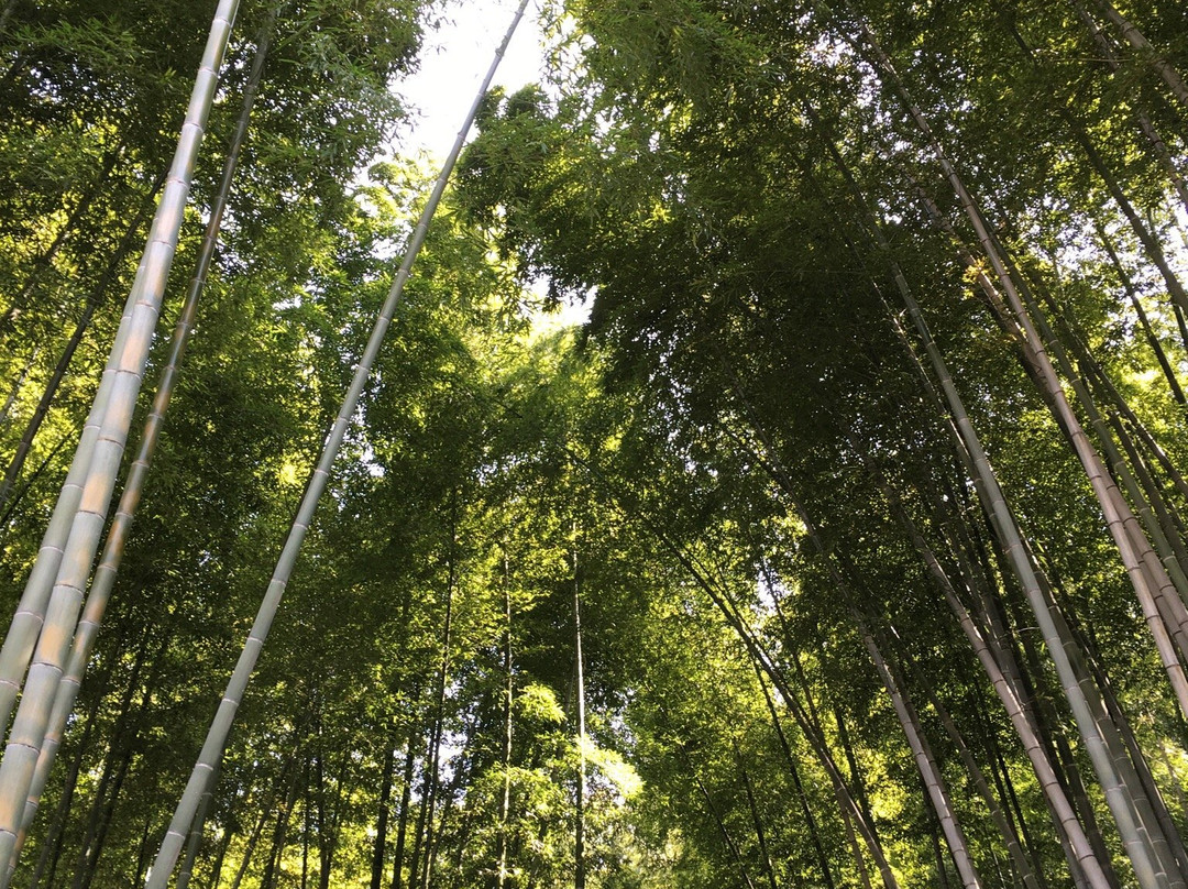 Araijoshi Park-真鹤町必去景点