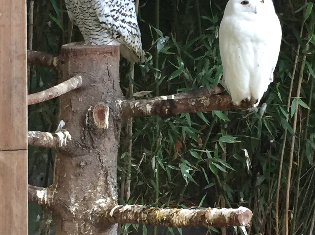 Hotel Park Villa主图