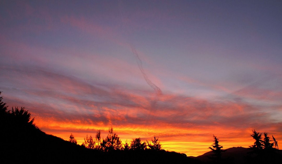 Quail Run Ranch-Lake Hughes必去景点