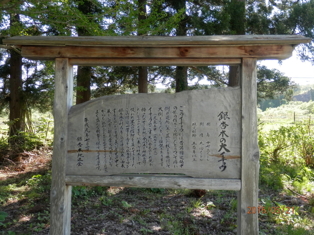 Ginnanboku no Oicho-陆奥市必去景点