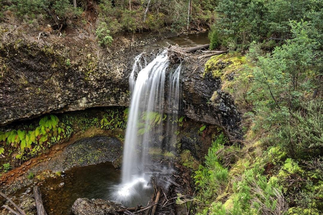 Tarraleah Falls景点图片