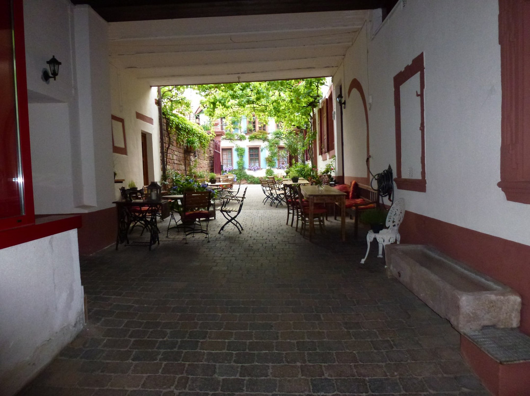 Rhodter Adler GmbH主图