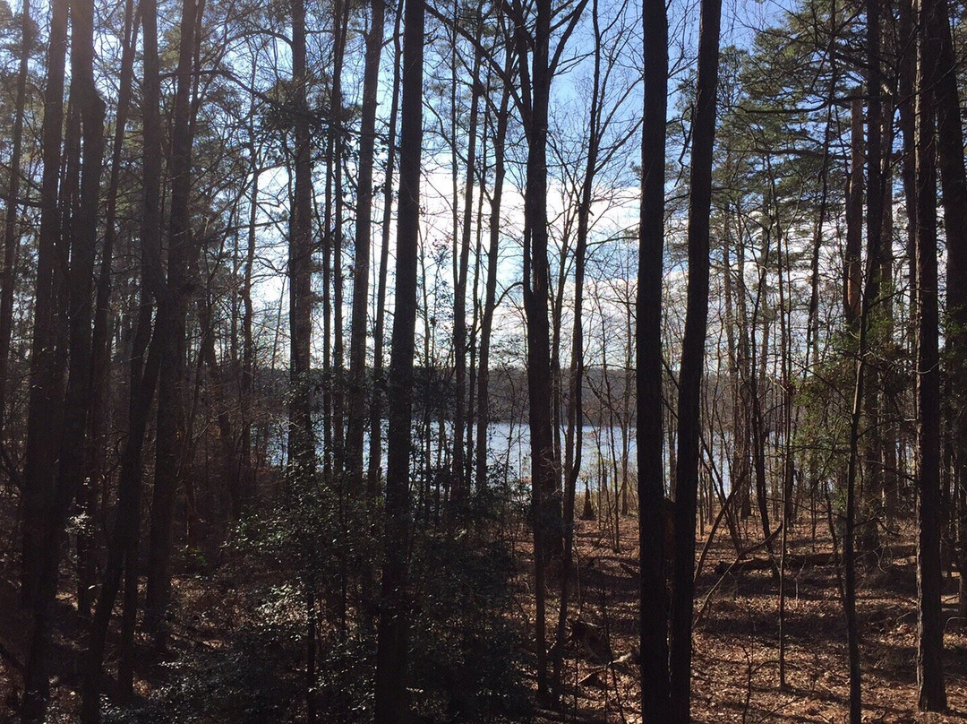 Jimmie Davis State Park景点图片