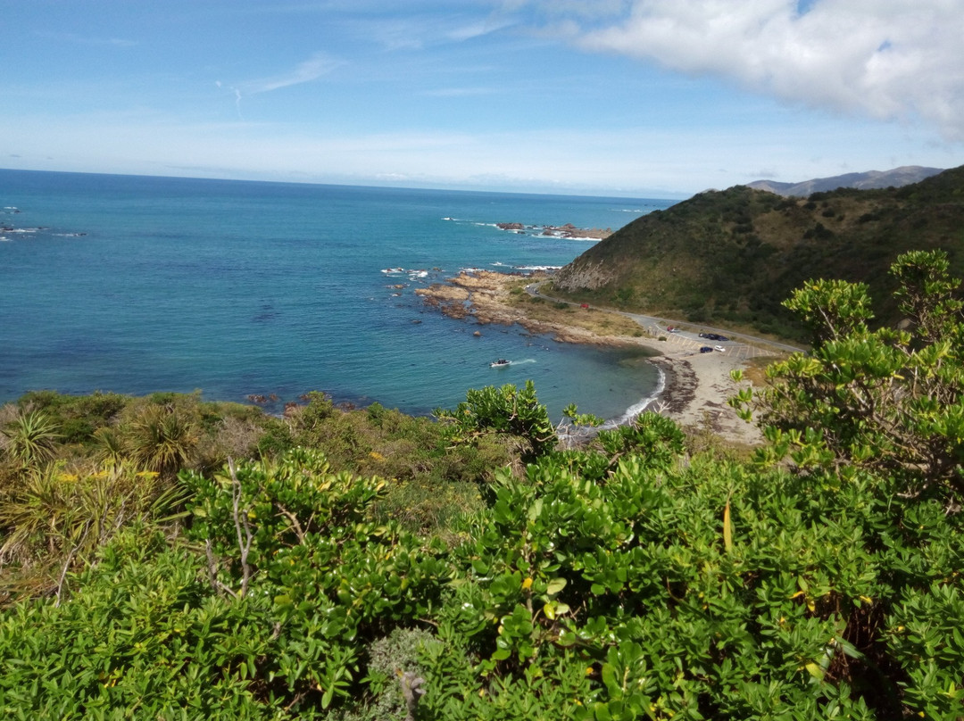 Tarakena Bay-惠灵顿必去景点